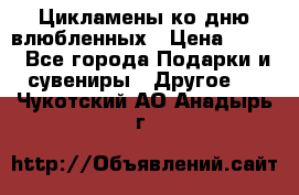 Цикламены ко дню влюбленных › Цена ­ 180 - Все города Подарки и сувениры » Другое   . Чукотский АО,Анадырь г.